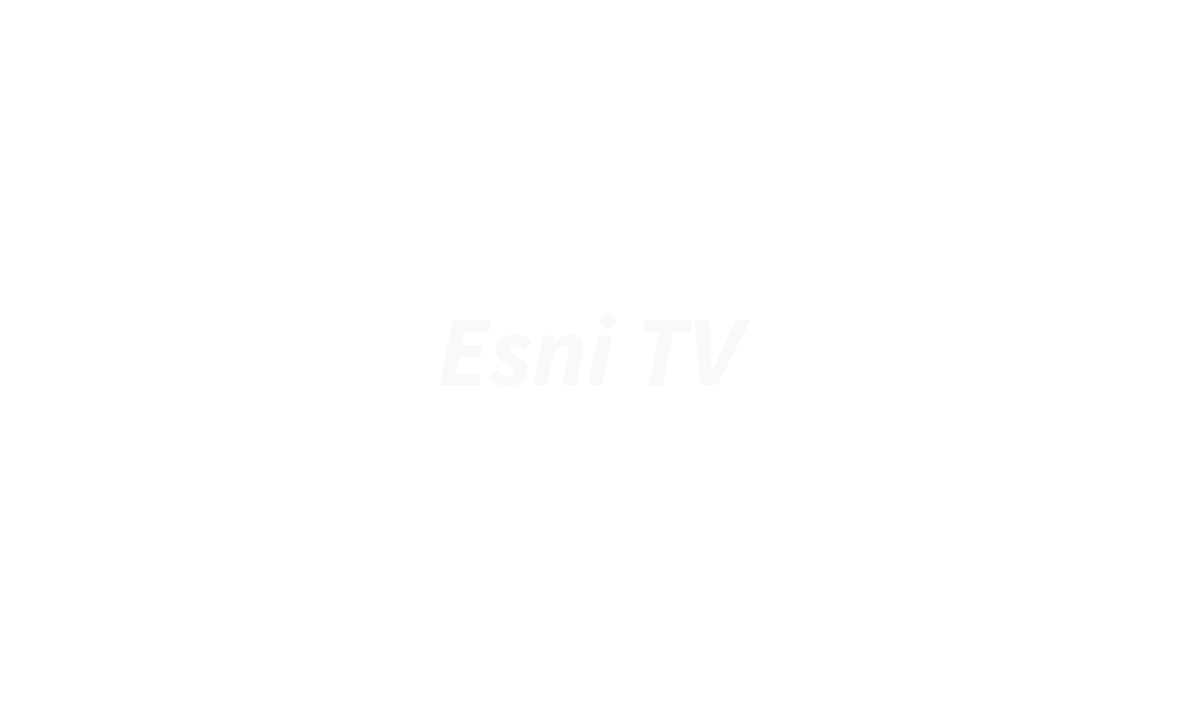 7.3 ESNI TV